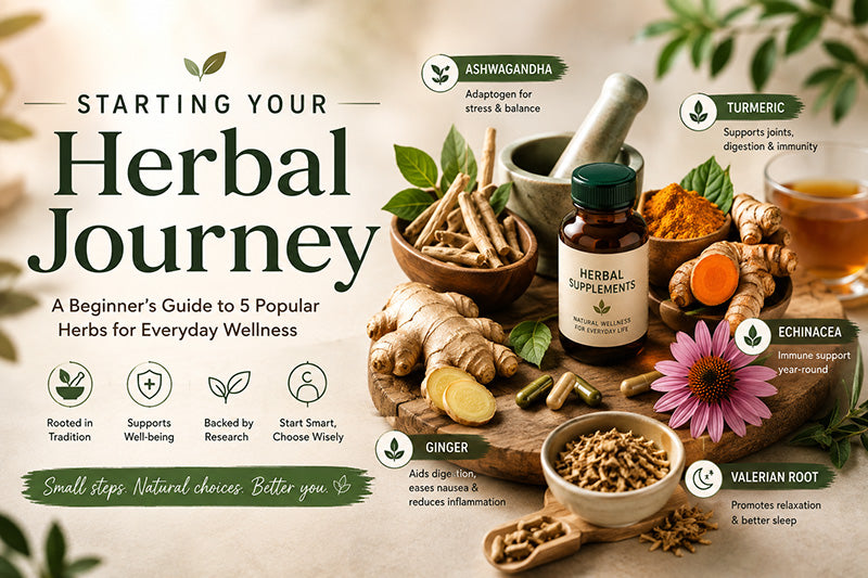 Starting Your Herbal Journey: 5 Popular Herbs to Know