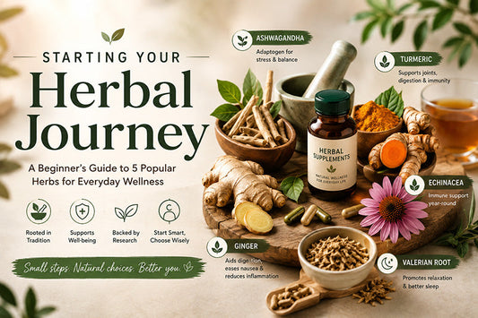 Starting Your Herbal Journey: 5 Popular Herbs to Know